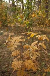 Similar image 21180757