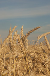 Similar image 21184818