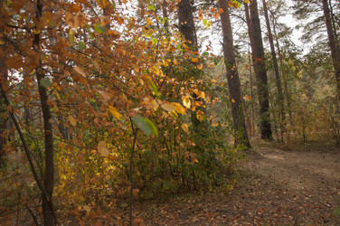 Similar image 21184819