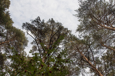 Similar image 21190706