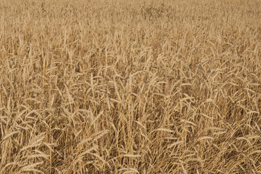 Similar image 21190709