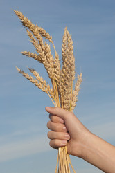 Similar image 21190713