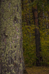 Similar image 21190714