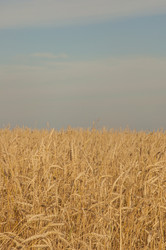 Similar image 21190715