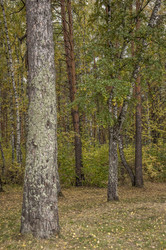 Similar image 21192423