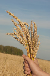 Similar image 21192424