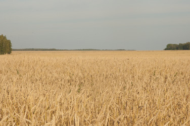 Similar image 21192426