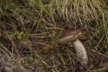 Similar image 21192427