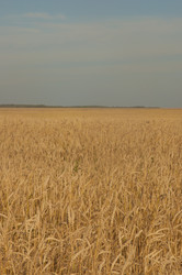 Similar image 21192428