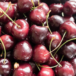 Similar image 21154703