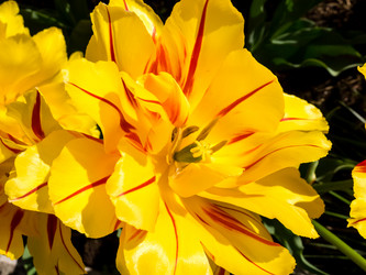 Similar image 21154704