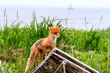 Similar image 21154724