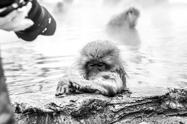 Similar image 21154736