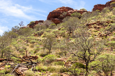 Similar image 21154738