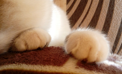 Similar image 21154316