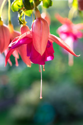 Similar image 21153354