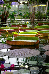 Similar image 21153355