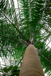 Similar image 21154170