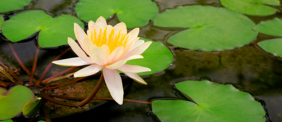 Similar image 21168184