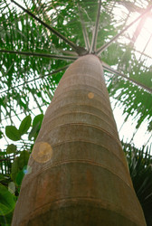 Similar image 21153360