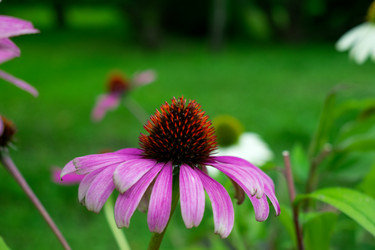 Similar image 21168185