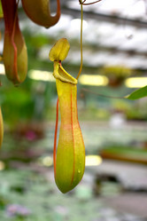 Similar image 21154927