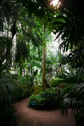 Similar image 21154928