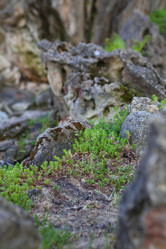 Similar image 21179477