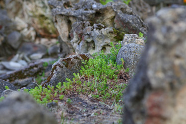 Similar image 21179478