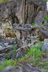 Similar image 21179479