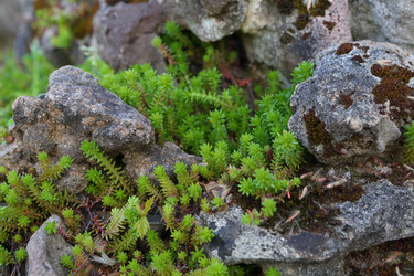 Similar image 21179480