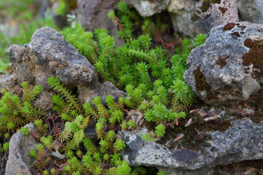 Similar image 21179481