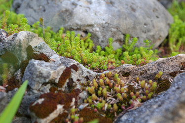 Similar image 21179483