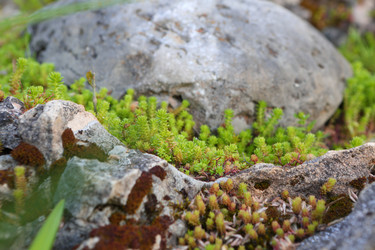 Similar image 21179484