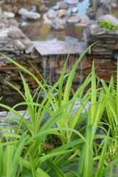 Similar image 21179485