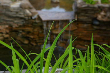 Similar image 21179487