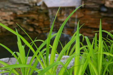 Similar image 21179488