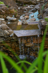 Similar image 21179490