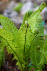 Similar image 21179492