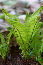 Similar image 21179966