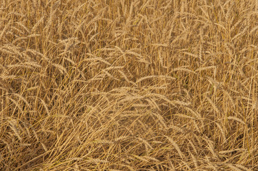 Similar image 21180759