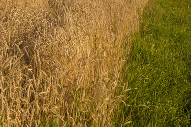 Similar image 21180763