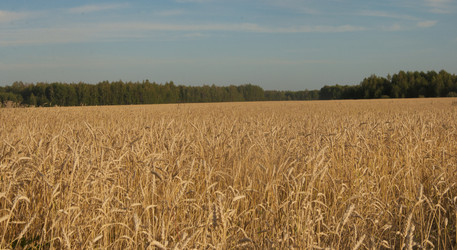 Similar image 21180767