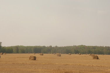 Similar image 21180770