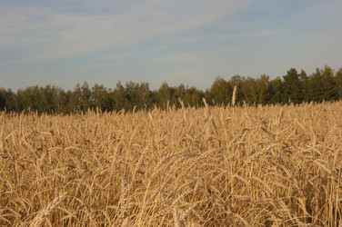 Similar image 21184825