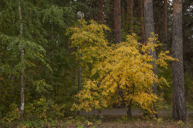 Similar image 21184826