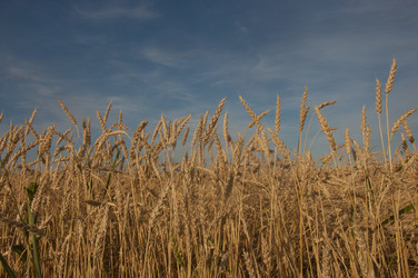 Similar image 21184828