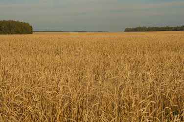 Similar image 21190716