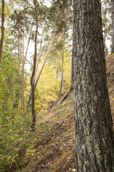 Similar image 21190717