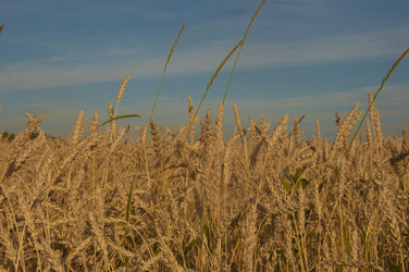 Similar image 21190718